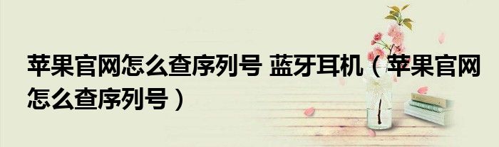 蘋果官網(wǎng)怎么查序列號 藍(lán)牙耳機（蘋果官網(wǎng)怎么查序列號）