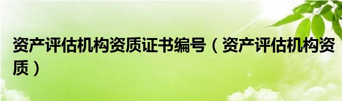資產(chǎn)評估機構(gòu)資質(zhì)證書編號（資產(chǎn)評估機構(gòu)資質(zhì)）