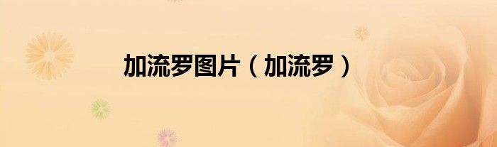 加流羅圖片（加流羅）