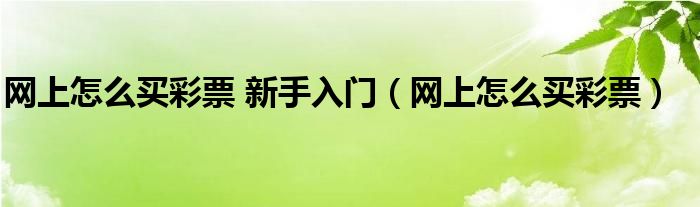 網(wǎng)上怎么買彩票 新手入門（網(wǎng)上怎么買彩票）
