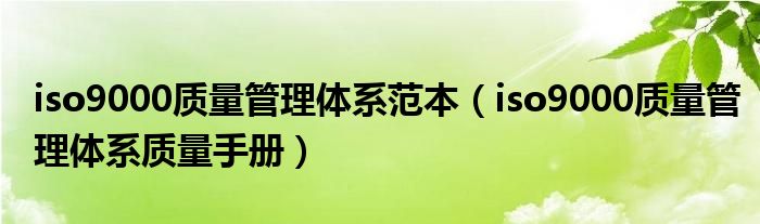 iso9000質(zhì)量管理體系范本（iso9000質(zhì)量管理體系質(zhì)量手冊(cè)）