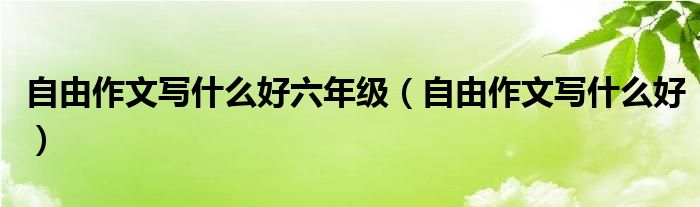 自由作文寫什么好六年級(jí)（自由作文寫什么好）