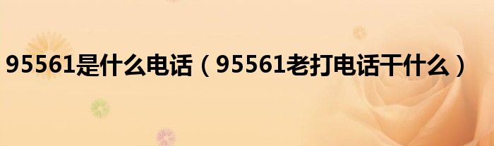 95561是什么電話（95561老打電話干什么）