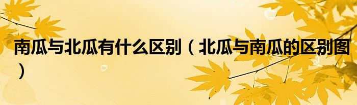 南瓜與北瓜有什么區(qū)別（北瓜與南瓜的區(qū)別圖）