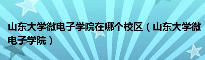 山東大學(xué)微電子學(xué)院在哪個(gè)校區(qū)（山東大學(xué)微電子學(xué)院）