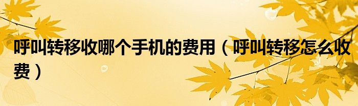 呼叫轉(zhuǎn)移收哪個(gè)手機(jī)的費(fèi)用（呼叫轉(zhuǎn)移怎么收費(fèi)）
