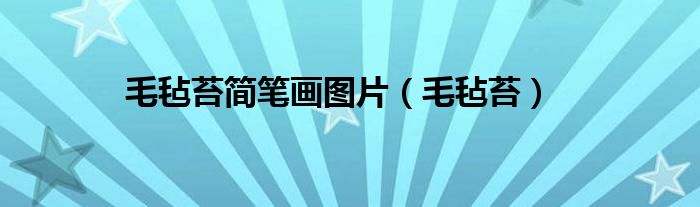 毛氈苔簡筆畫圖片（毛氈苔）