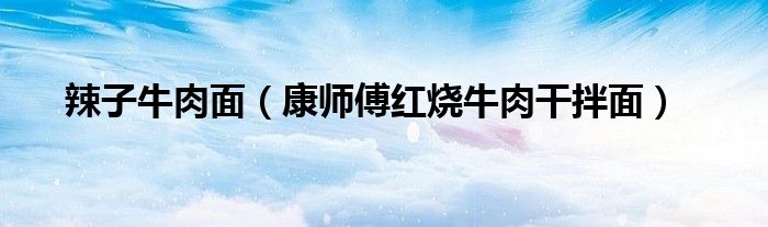 辣子牛肉面（康師傅紅燒牛肉干拌面）