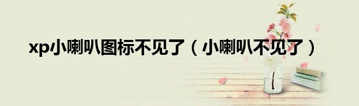 xp小喇叭圖標(biāo)不見了（小喇叭不見了）