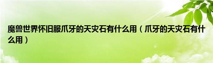 魔獸世界懷舊服爪牙的天災(zāi)石有什么用（爪牙的天災(zāi)石有什么用）