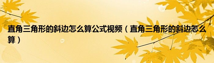 直角三角形的斜邊怎么算公式視頻（直角三角形的斜邊怎么算）