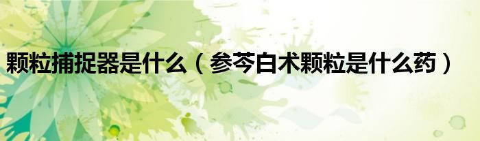 顆粒捕捉器是什么（參芩白術(shù)顆粒是什么藥）