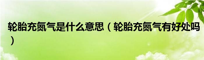 輪胎充氮氣是什么意思（輪胎充氮氣有好處嗎）