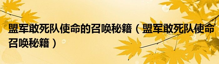 盟軍敢死隊(duì)使命的召喚秘籍（盟軍敢死隊(duì)使命召喚秘籍）