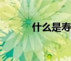 什么是壽險精算（什么是壽險）
