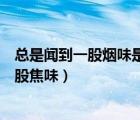 總是聞到一股煙味是什么原因（在家中寫作業(yè)的小敏聞到一股焦味）