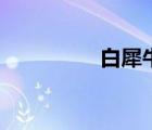 白犀牛滅絕了嗎（白犀）