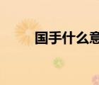國手什么意思小s（國手什么意思）