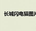 長城閃電貓圖片及價格（長城閃電貓價格）