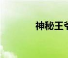 神秘王爺的愛妃（神秘王爺）
