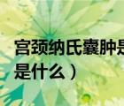 宮頸納氏囊腫是什么病嚴(yán)重嗎（宮頸納氏囊腫是什么）