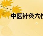 中醫(yī)針灸穴位圖集（中醫(yī)針灸穴位圖）