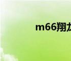 m66翔龍多少錢（m66翔龍）