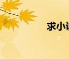 求小說 十七姨的男丫鬟