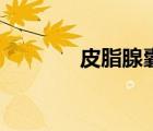 皮脂腺囊腫怎么治療（皮脂）