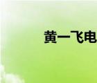黃一飛電影（黃一飛與黃一山）