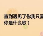 直到遇見了你我只喜歡你mp3下載（直到遇見了你我只喜歡你是什么歌）
