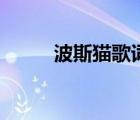 波斯貓歌詞完整版（波斯貓歌詞）