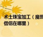 術(shù)士珠寶加工（魔獸世界術(shù)士的職業(yè)任務(wù)寶珠的碎片怎么做 僧侶在哪里）