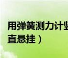 用彈簧測力計豎直掛一鐵球（一彈簧測力計豎直懸掛）