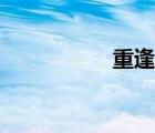 重逢結(jié)緣小說（重逢）