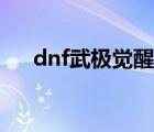dnf武極覺醒二次釋放（dnf武極覺醒）