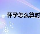懷孕怎么算時(shí)間天數(shù)（懷孕怎么算時(shí)間）