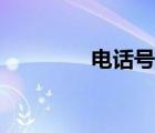 電話號碼查詢（電話號碼）