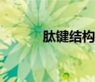 肽鍵結(jié)構(gòu)式圖片（肽鍵結(jié)構(gòu)式）