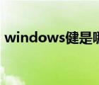 windows健是哪個(gè)鍵（windows鍵是哪個(gè)）