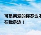可是親愛(ài)的你怎么不在我身邊下一句（可是親愛(ài)的你怎么不在我身邊）