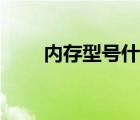 內(nèi)存型號(hào)什么意思（內(nèi)存設(shè)備型號(hào)）