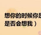 想你的時候你是否會想我歌詞（想你的時候你是否會想我）