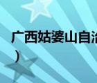 廣西姑婆山自治區(qū)級自然保護區(qū)（廣西姑婆山）