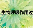 生物呼吸作用過程圖解（生物呼吸作用圖解）