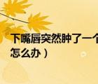 下嘴唇突然腫了一個(gè)包怎么辦圖片（下嘴唇突然腫了一個(gè)包怎么辦）