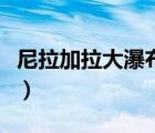 尼拉加拉大瀑布英文（尼加拉大瀑布英語作文）
