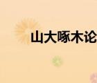 山大啄木論壇（山東大學(xué)啄木論壇）