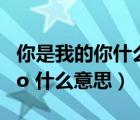 你是我的你什么意思（ldquo 你是我的 rdquo 什么意思）