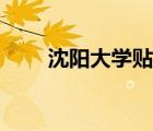 沈陽大學貼吧排名（沈陽大學貼吧）